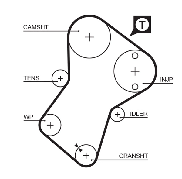 Timing Belt
