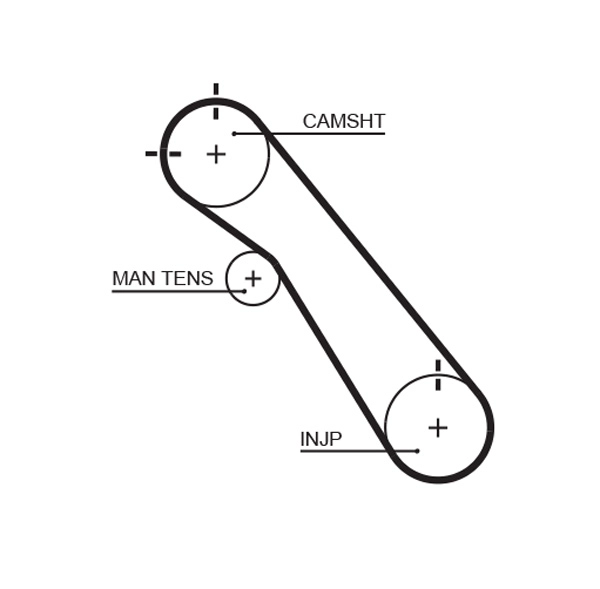 Timing Belt