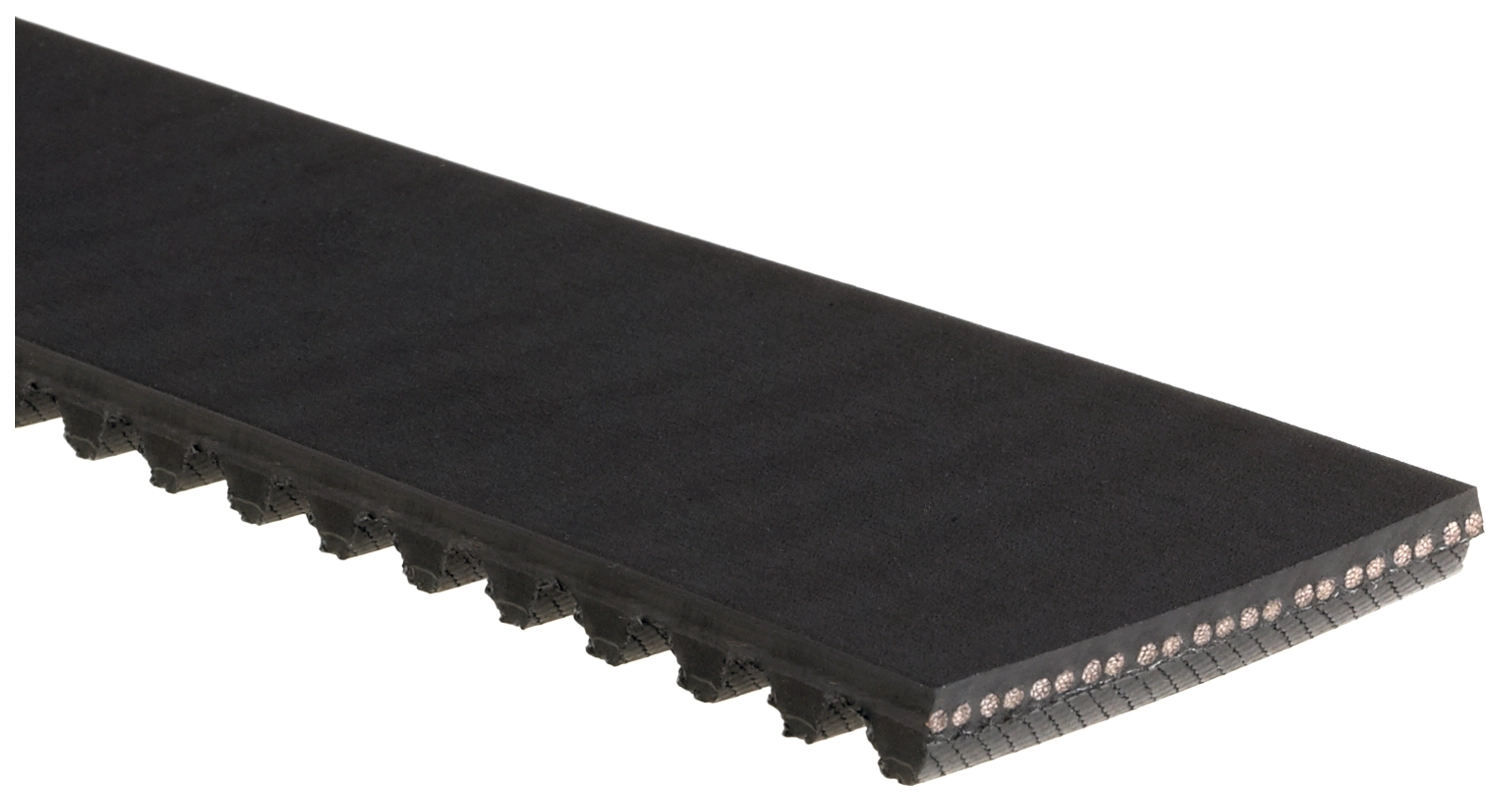 Timing Belt