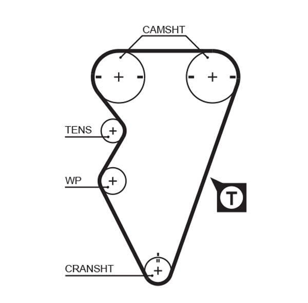Timing Belt