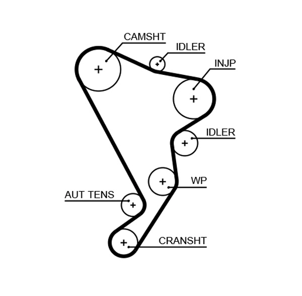 Timing Belt (T1678)