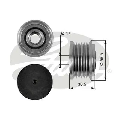 Alternator Freewheel Clutch (OAP7049)