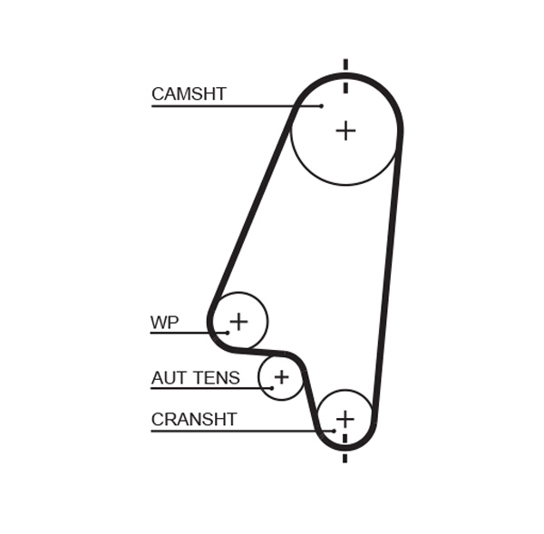 Timing Belt