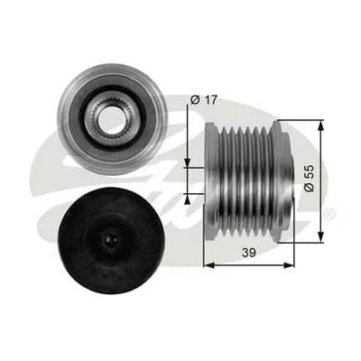 Alternator Freewheel Clutch (OAP7065)
