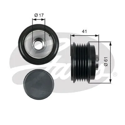 Alternator Freewheel Clutch (OAP7173)