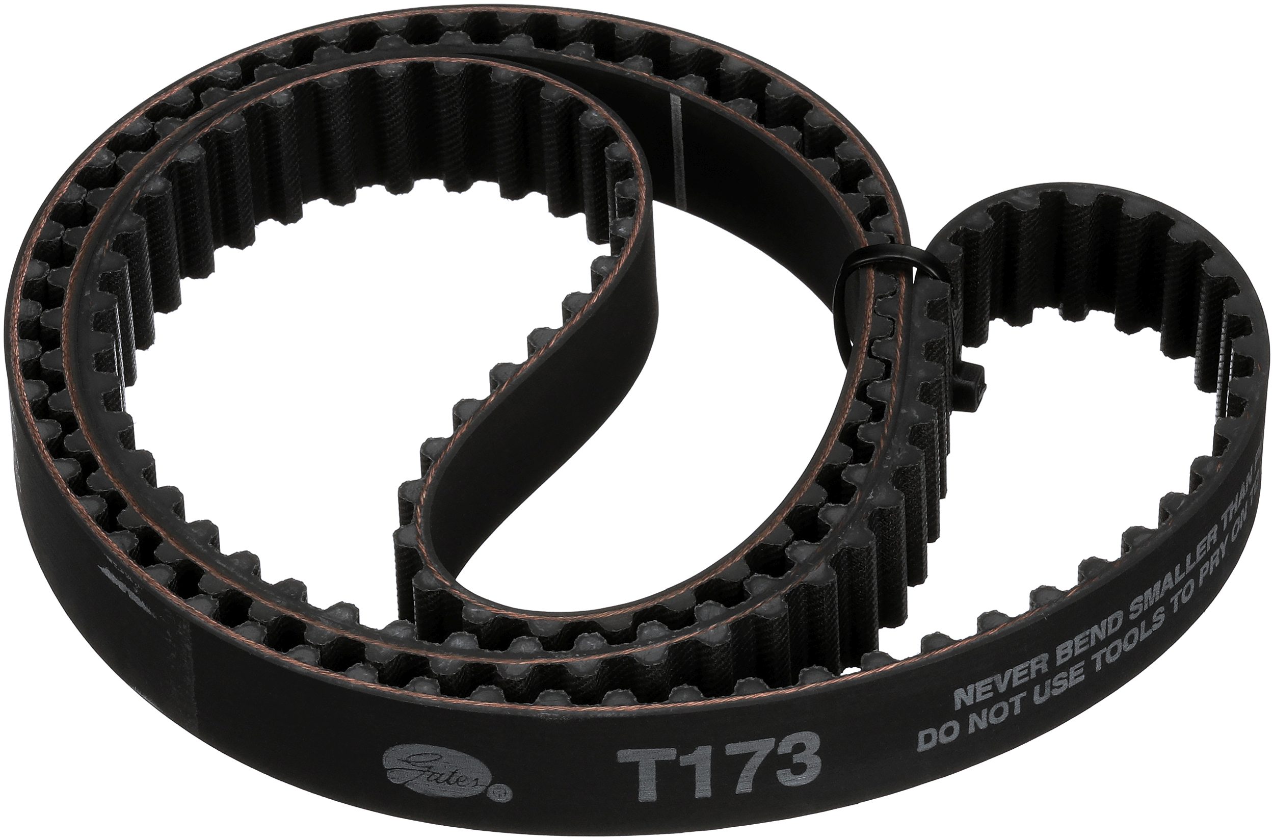 Timing Belt (T173)