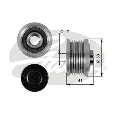 Alternator Freewheel Clutch (OAP7052)
