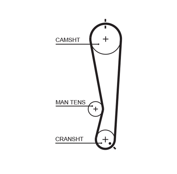Timing Belt