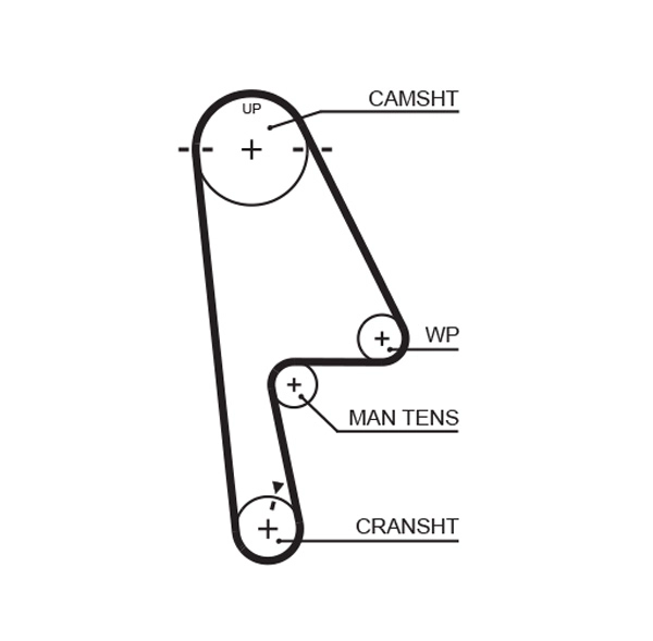 Timing Belt