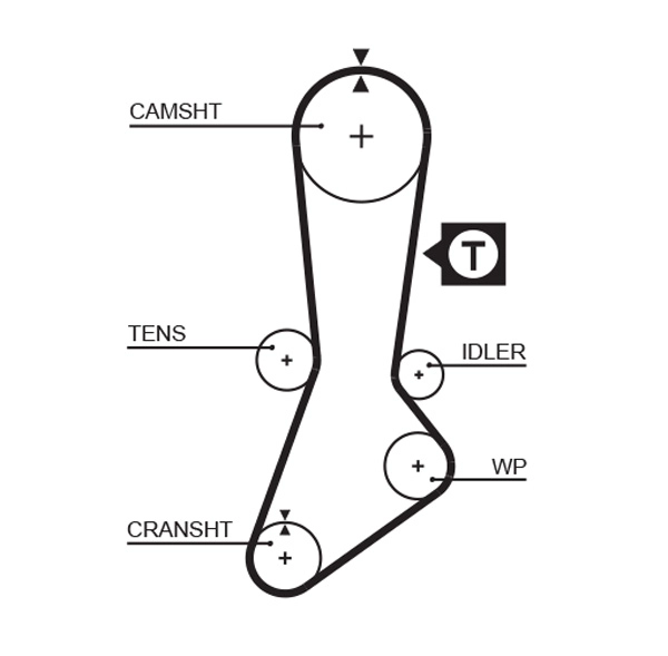 Timing Belt
