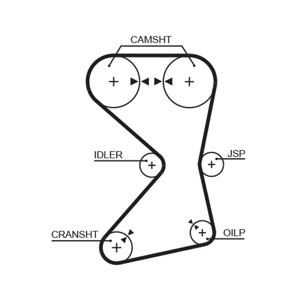Timing Belt