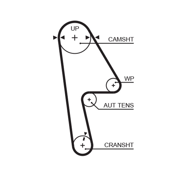 Timing Belt