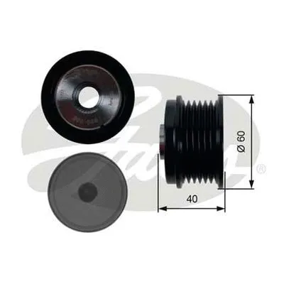 Alternator Freewheel Clutch (OAP7154)