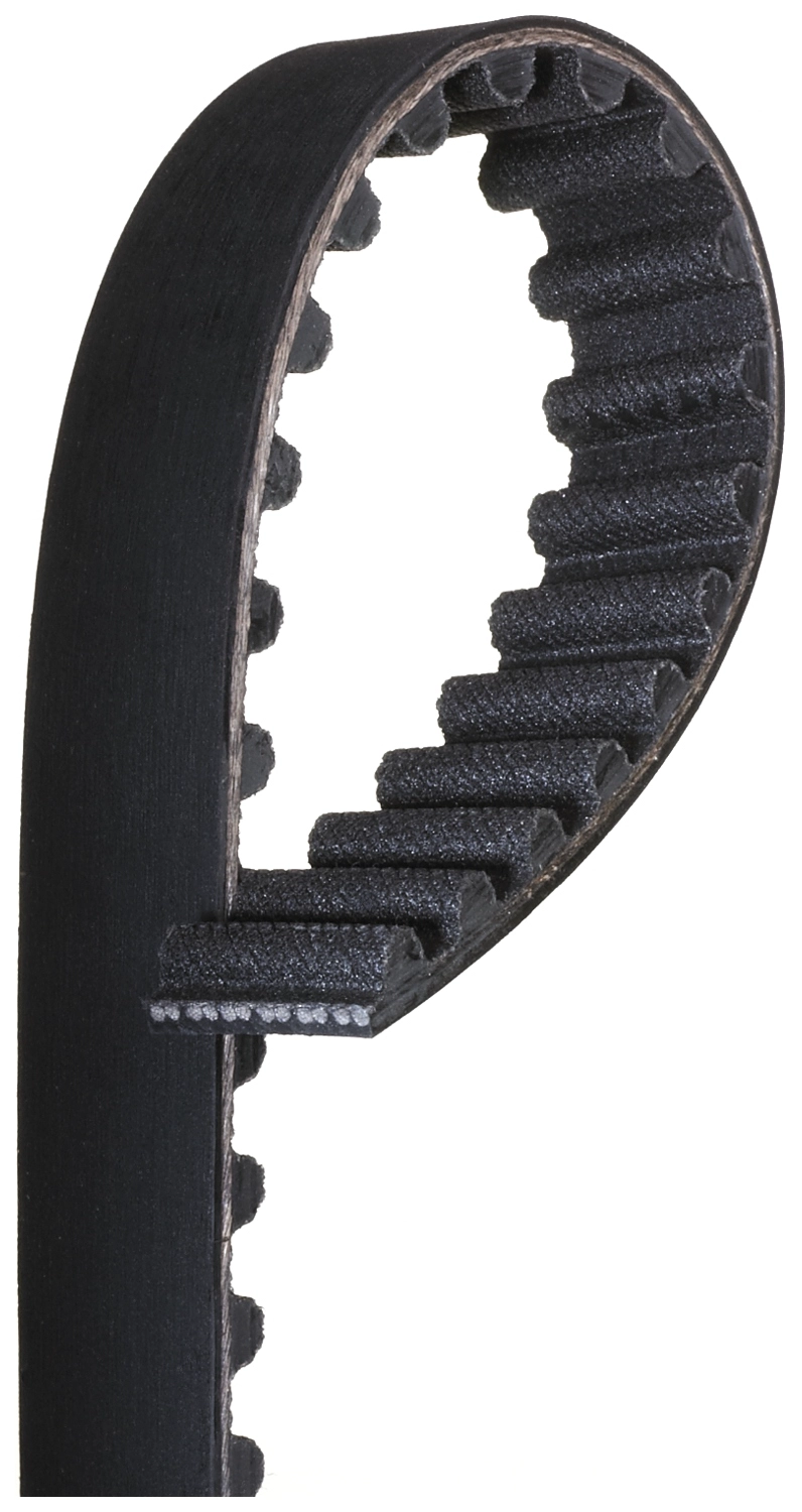 Timing Belt (T1671)