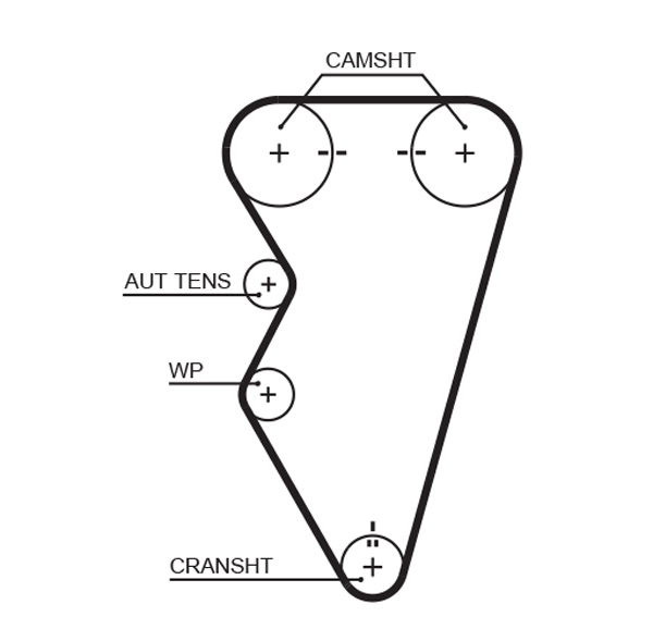Timing Belt