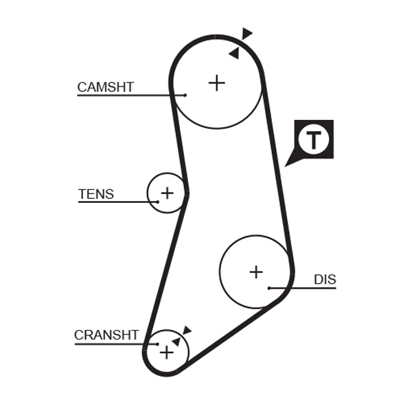 Timing Belt