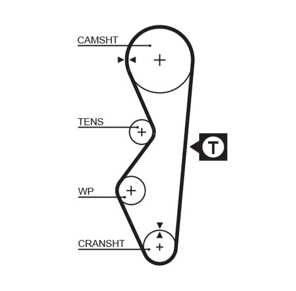 Timing Belt