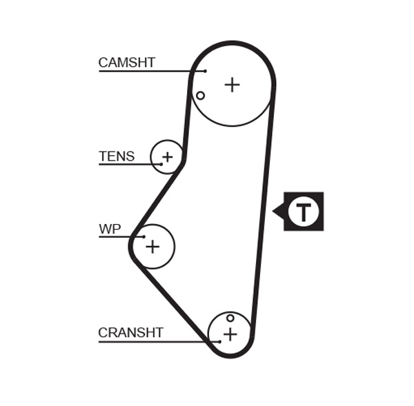 Timing Belt