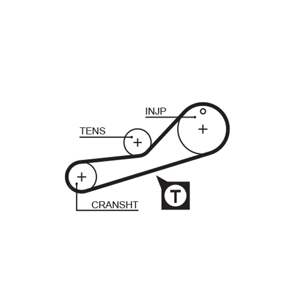 Timing Belt
