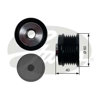 Alternator Freewheel Clutch (OAP7153)