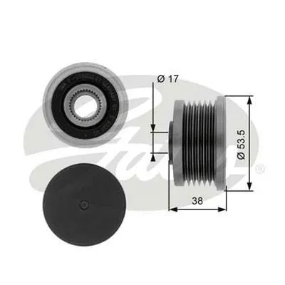 Alternator Freewheel Clutch (OAP7081)