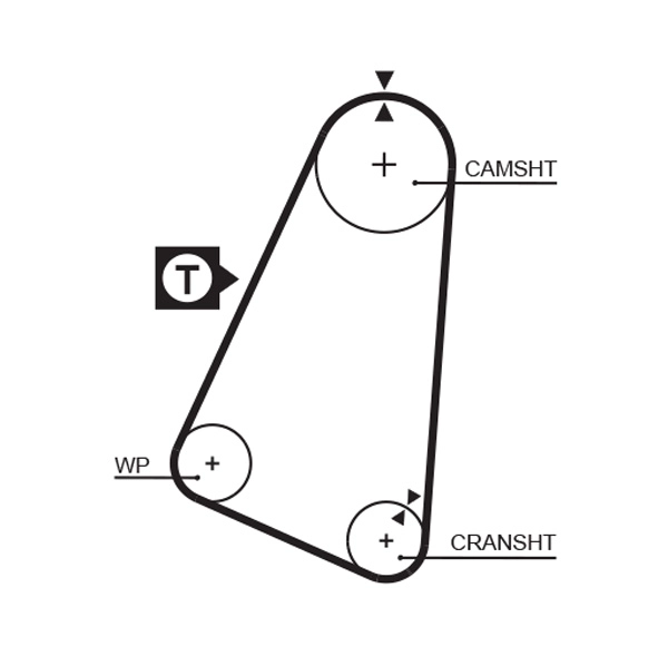 Timing Belt