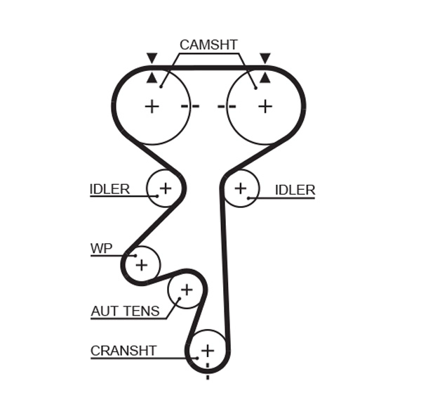 Timing Belt