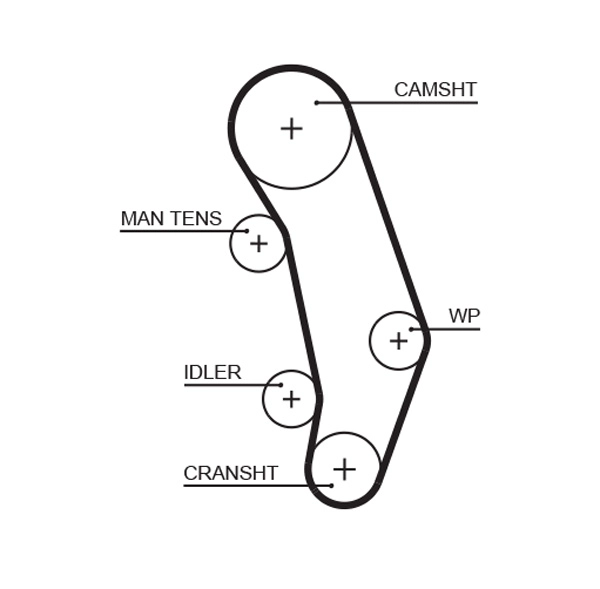 Timing Belt