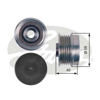 Alternator Freewheel Clutch (OAP7132)