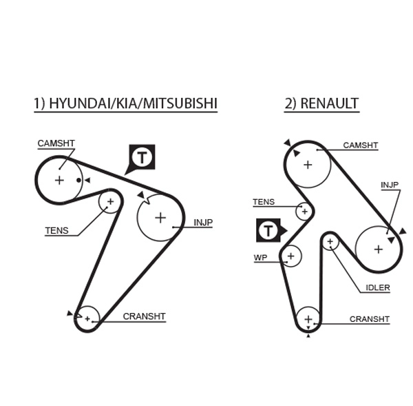 Timing Belt