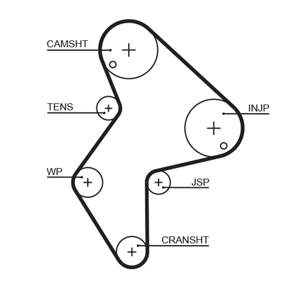 Timing Belt