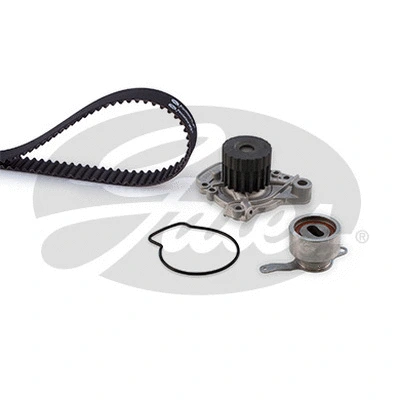 Water Pump & Timing Belt Kit (TCKWP224)