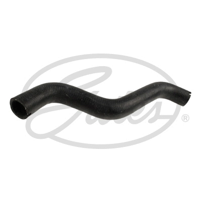 Radiator Hose (05-2558)