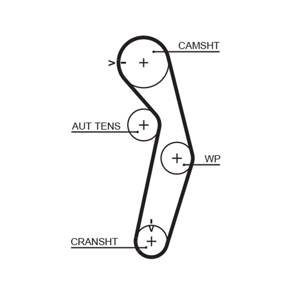 Timing Belt