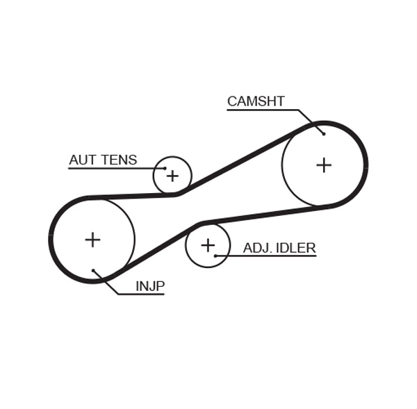 Timing Belt