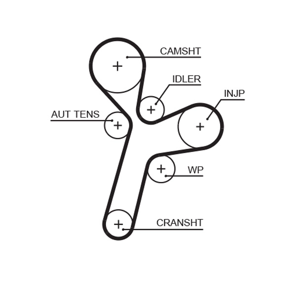 Timing Belt