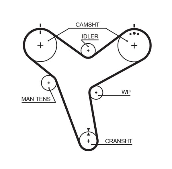 Timing Belt