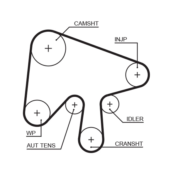 Timing Belt