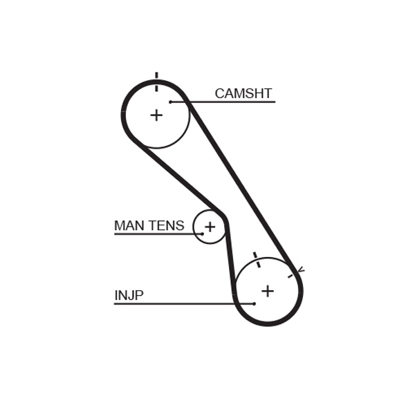 Timing Belt