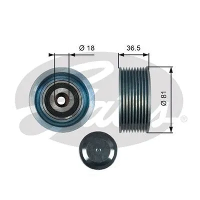 Deflection/Guide Pulley, V-ribbed belt (36508)