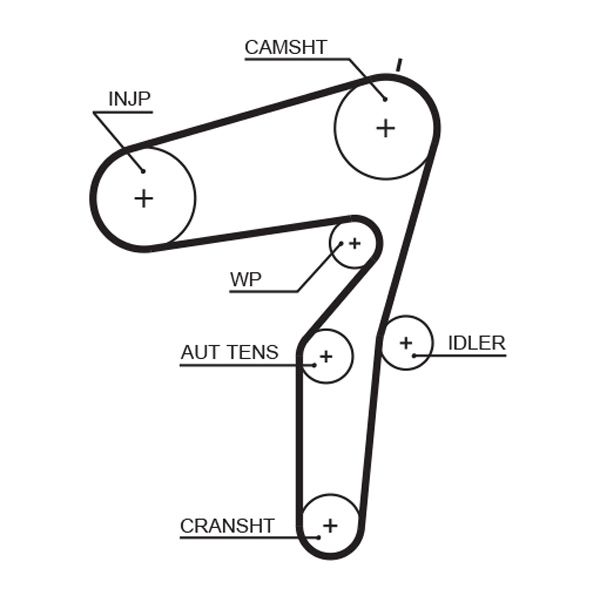 Timing Belt