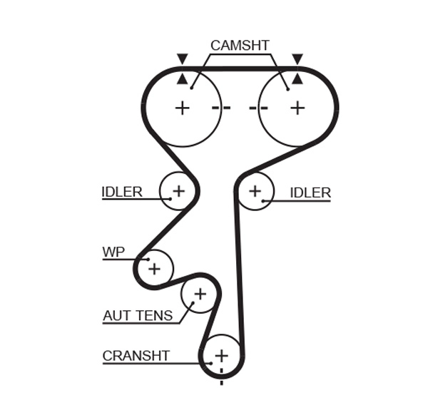 Timing Belt