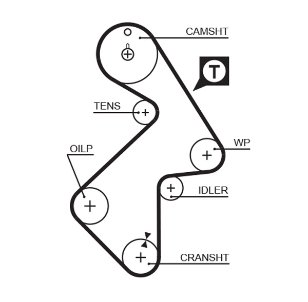Timing Belt