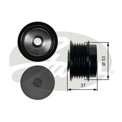 Alternator Freewheel Clutch (OAP7015)