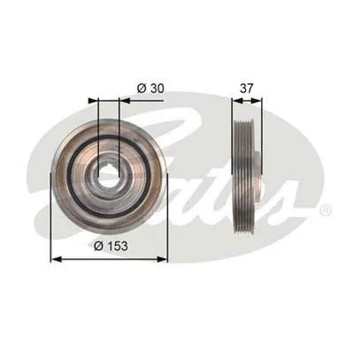 Belt Pulley, crankshaft (TVD1090)
