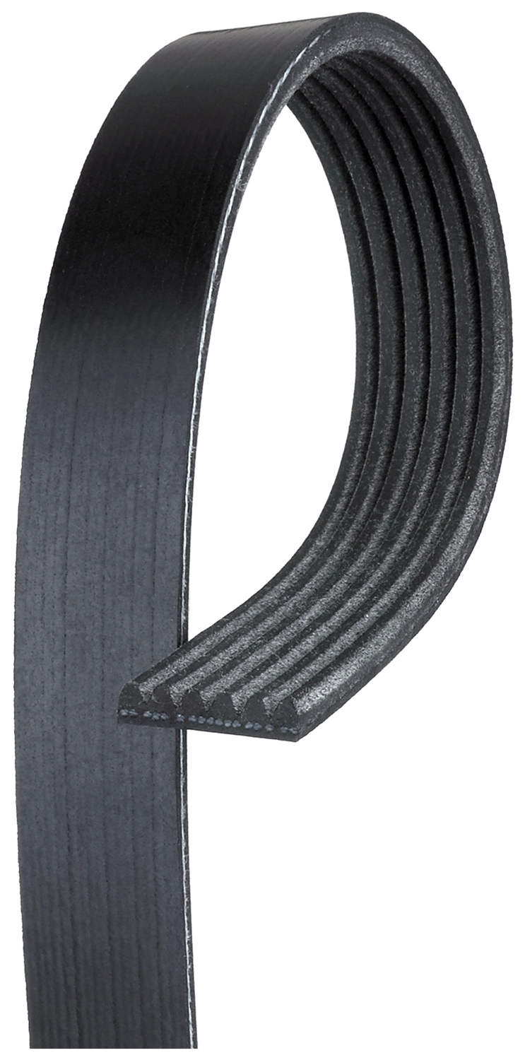V-Ribbed Belt (6PK2300)