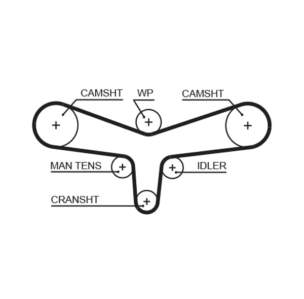 Timing Belt