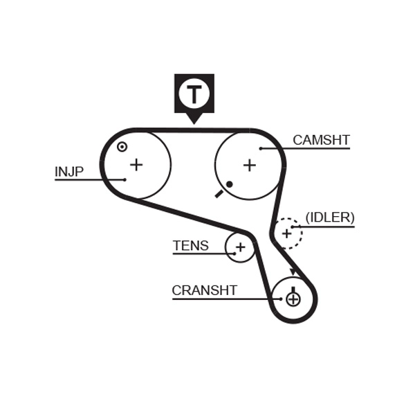 Timing Belt