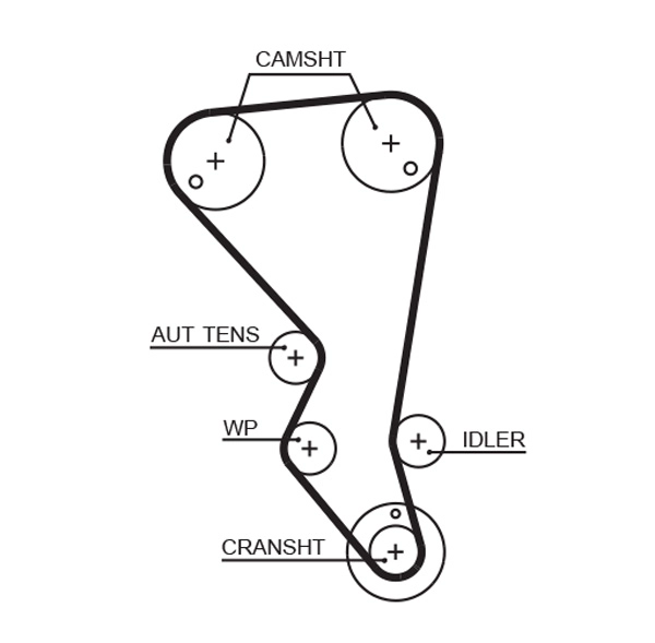 Timing Belt