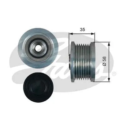 Alternator Freewheel Clutch (OAP7183)